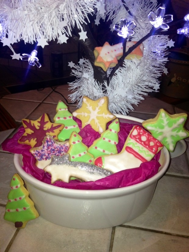 7e2f1c5881a7ee9a8afd60122e51374f8c15296e_north_635x