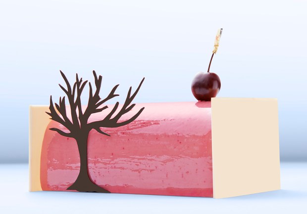 buche-de-noel-2016-buche-japon-sakura-sebastien-bouillet