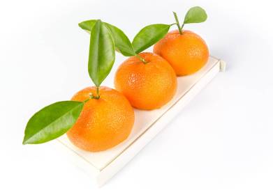 buche-de-noel-2016-buche-la-plus-fruitee-karamel-paris