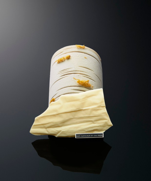 buche-ecorce-fond-noir-jpeg-hd-855x1024